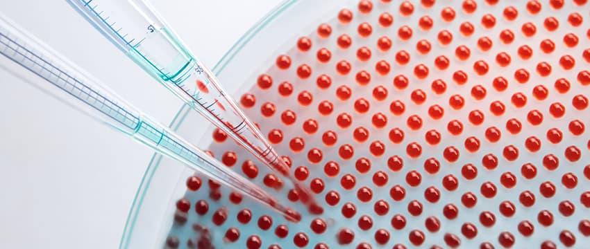 Диагностика, терапия и медицинское сопровождение