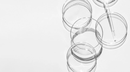 Чек-ап «Электролиты»