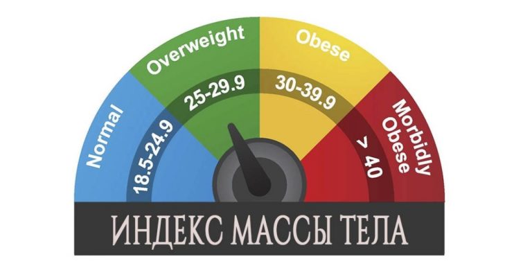 Как посчитать индекс массы тела?