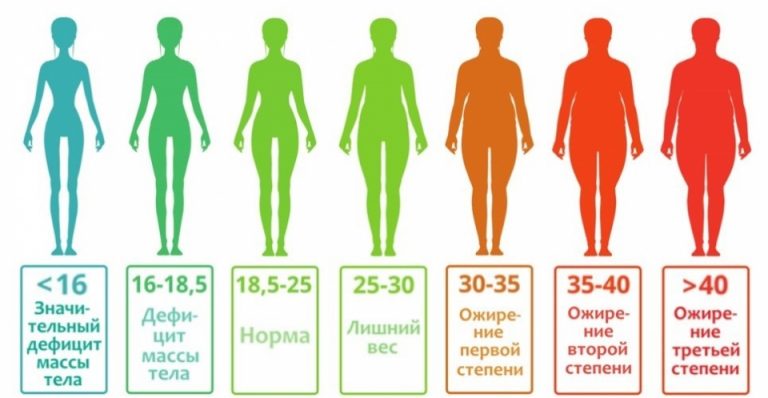 Как посчитать индекс массы тела?