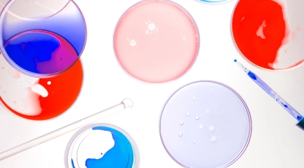 Чек-ап «Профиль на целиакию» 