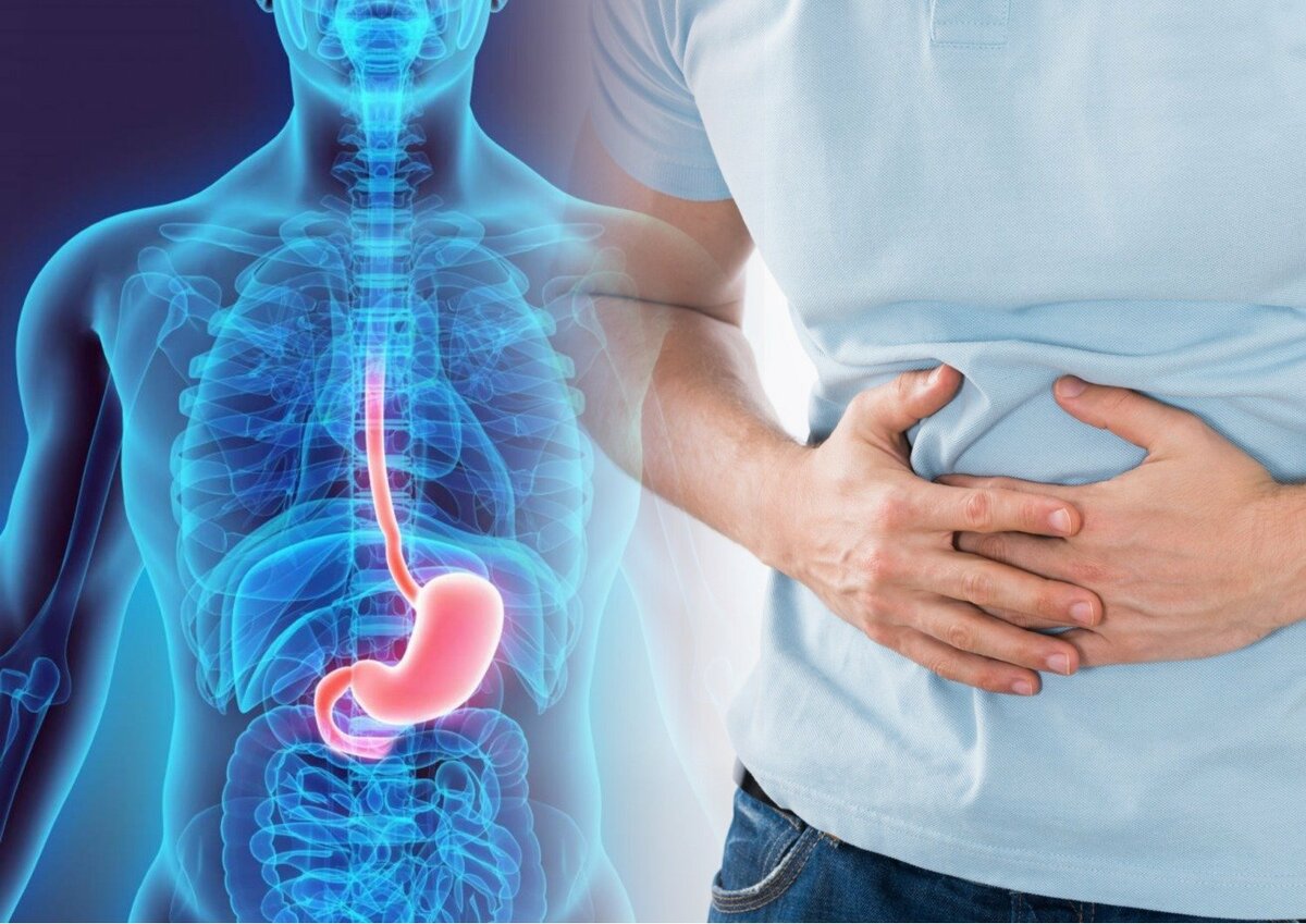 TB-500 и восстановление мягких тканей при травмах желудочно-кишечного тракта