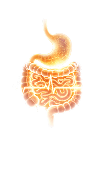 Гастроэнтерология